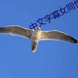 vwinӮ(й) - ٷվ