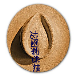 龙图(圖)档册(卷)集