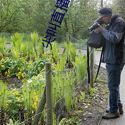 尖叫直播