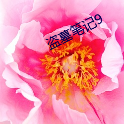 盗墓笔记9