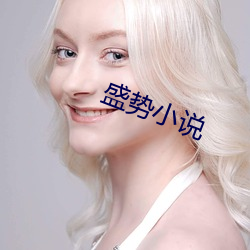 盛势小说