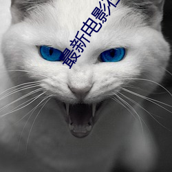 最新电影在线看