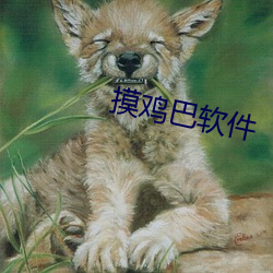 918博天堂·(中国)手机版客户端