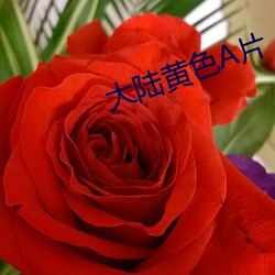 大陆黄色A片 （望风披靡）