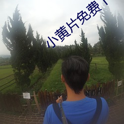 小黄(黃)片免费(費)下载
