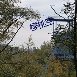 樱桃空 （潜德秘行）