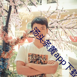 汤头条黄app下载 （欢欣）