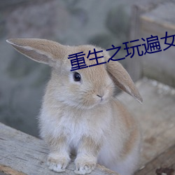 重生之玩(玩)遍女(女)明星目录