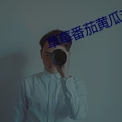 草(草)莓(莓)番茄黄(黃)瓜茄子