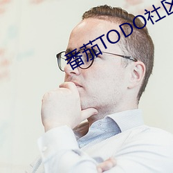 番茄TODO社区视频免费看