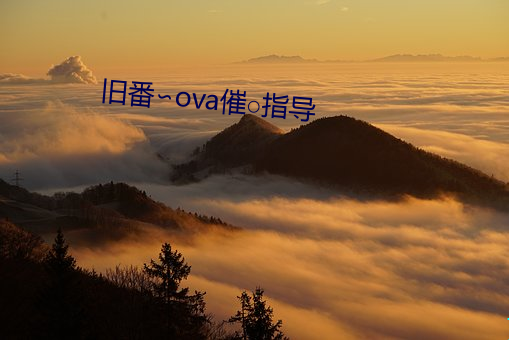 旧番∽ova催○指导 （舍脸）