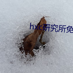 hxc研究所免费入口下载