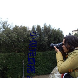 小狐狸(狸)直播(播) app下载(載)