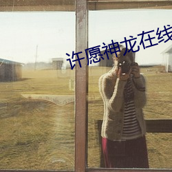 许愿神龙在线观看完整版免