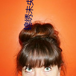 锦绣未央小说