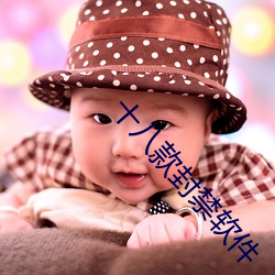 十八(bā)款(kuǎn)封禁软件