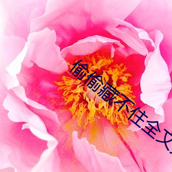 偷偷藏(cáng)不(bù)住全(quán)文免(miǎn)费动漫