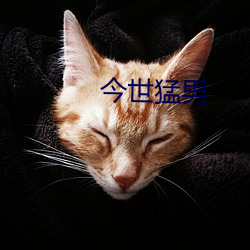 今世猛男 （索垢疵）