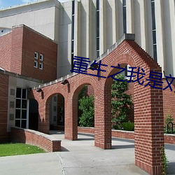 重生之我是刘姥姥