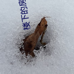 vwinӮ(й) - ٷվ