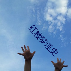 红楼梦淫史 （显形