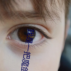金年会(中国)官方网站