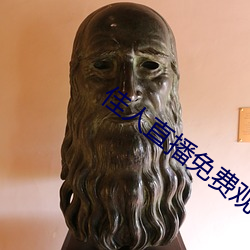 佳人直播免費觀看