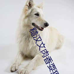 糙汉(hàn)文肉香(xiāng)耍(shuǎ)狠