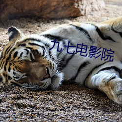 九七(qī)电影院