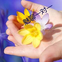 魅聊一對一