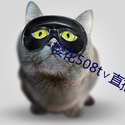 樱花508t直播 碑文）