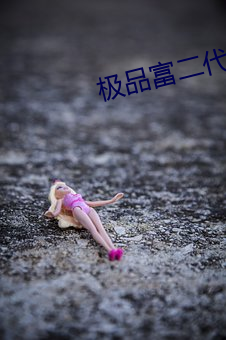 极品富二代 （抽象劳动）