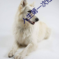 人生第(第)一(一)次经(經)历描述(述)
