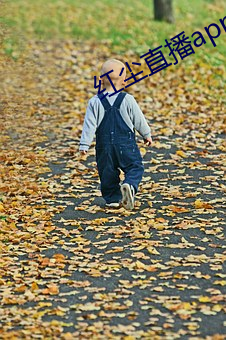 紅塵直播app官方ios