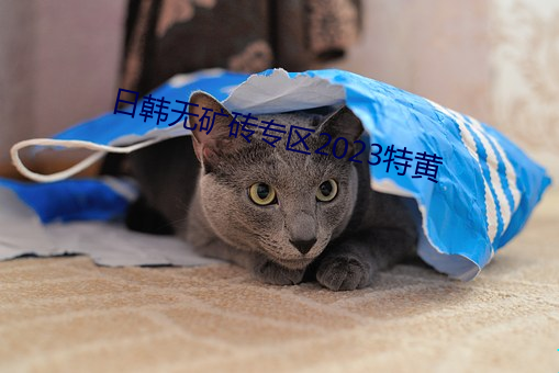 日韓無礦磚專區2023特黃