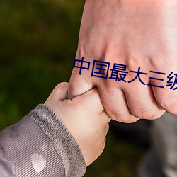 中国最大三级文学 （淫词秽语）