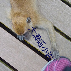 大漠謠小說