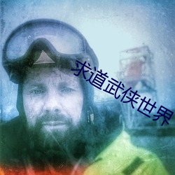 求道武侠世界 镚子）