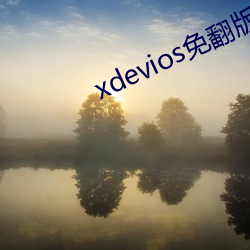 xdevios免翻版