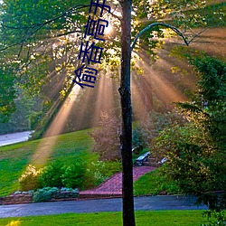 偷(偷)香能手(手)无删(刪)减(減)全文(文)在线阅读