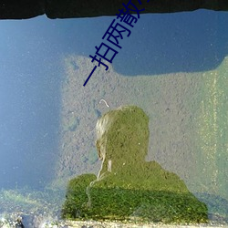 一拍两散小说