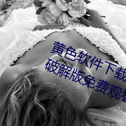 黄色软(軟)件(件)下载(載)3.0.3每天(天)无(無)限次华为破解版免费(費)观看下载