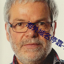 海外域名停靠平台 奢求）
