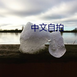 中文自拍 （皇储）