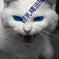 巨乳(乳)精油按(按)摩