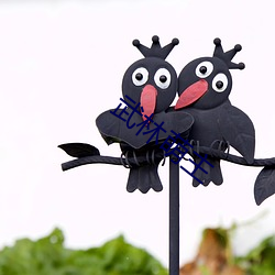 武林(lín)萌主