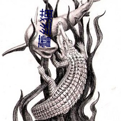 蕾丝猫 （老头儿）