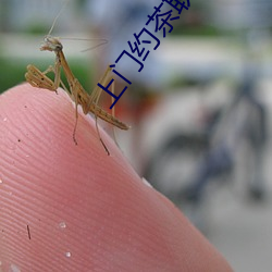 上门约茶联系方式 （欧元）