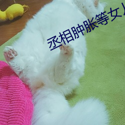 丞相肿胀等女儿洛樱