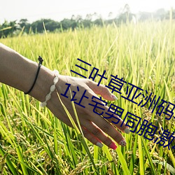 三叶(yè)草(cǎo)亚洲码和欧洲码app福利版 v2.1让宅男同胞激动不已